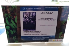 Wykład historyczny 
